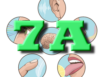 Klik op deze afbeelding om de ontsnappingcode in te voeren!