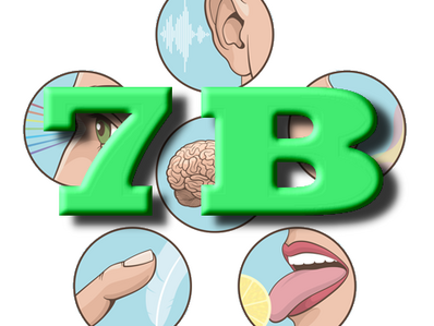 Klik op deze afbeelding om de ontsnappingcode in te voeren!